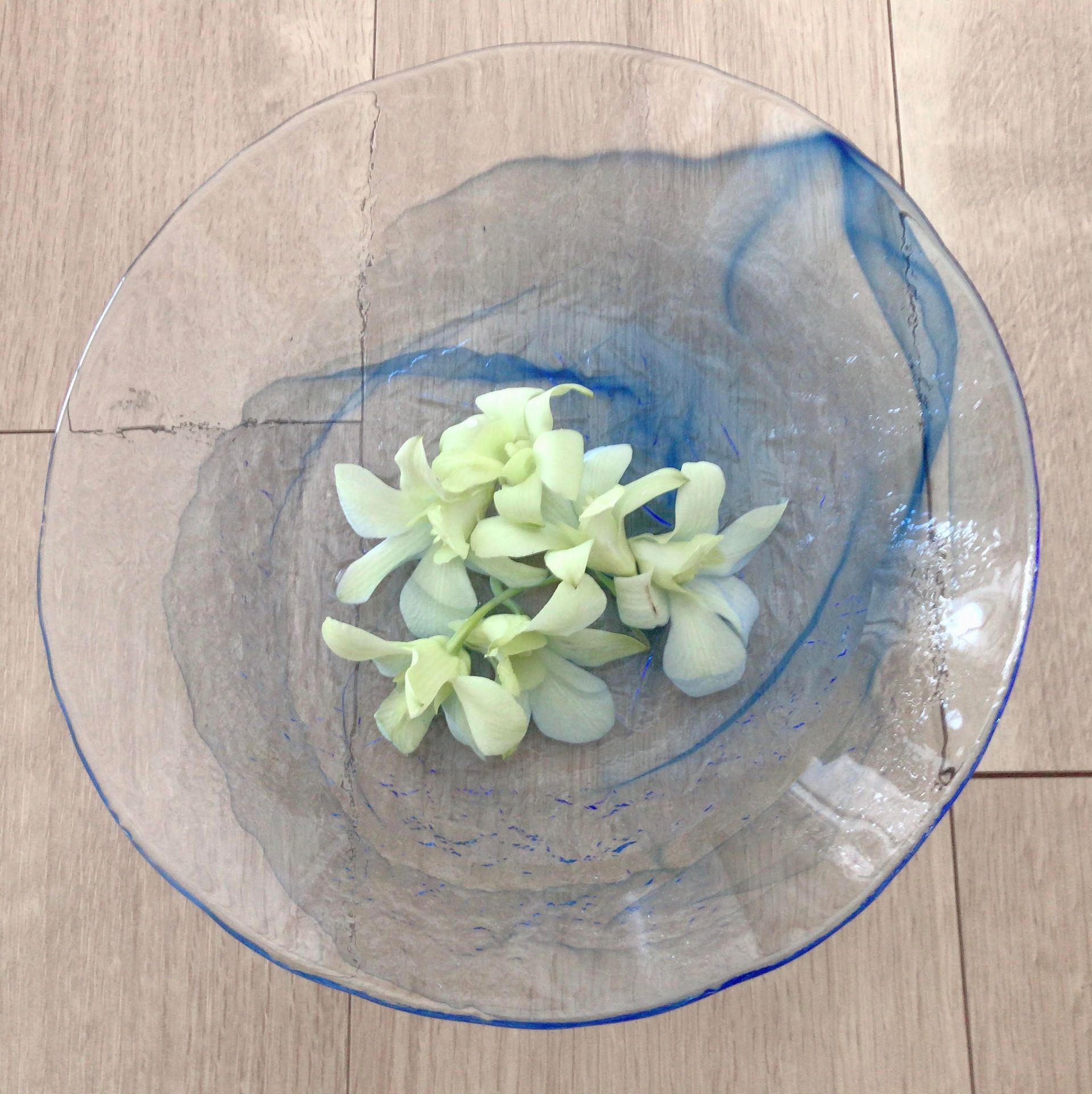 アップロード画像