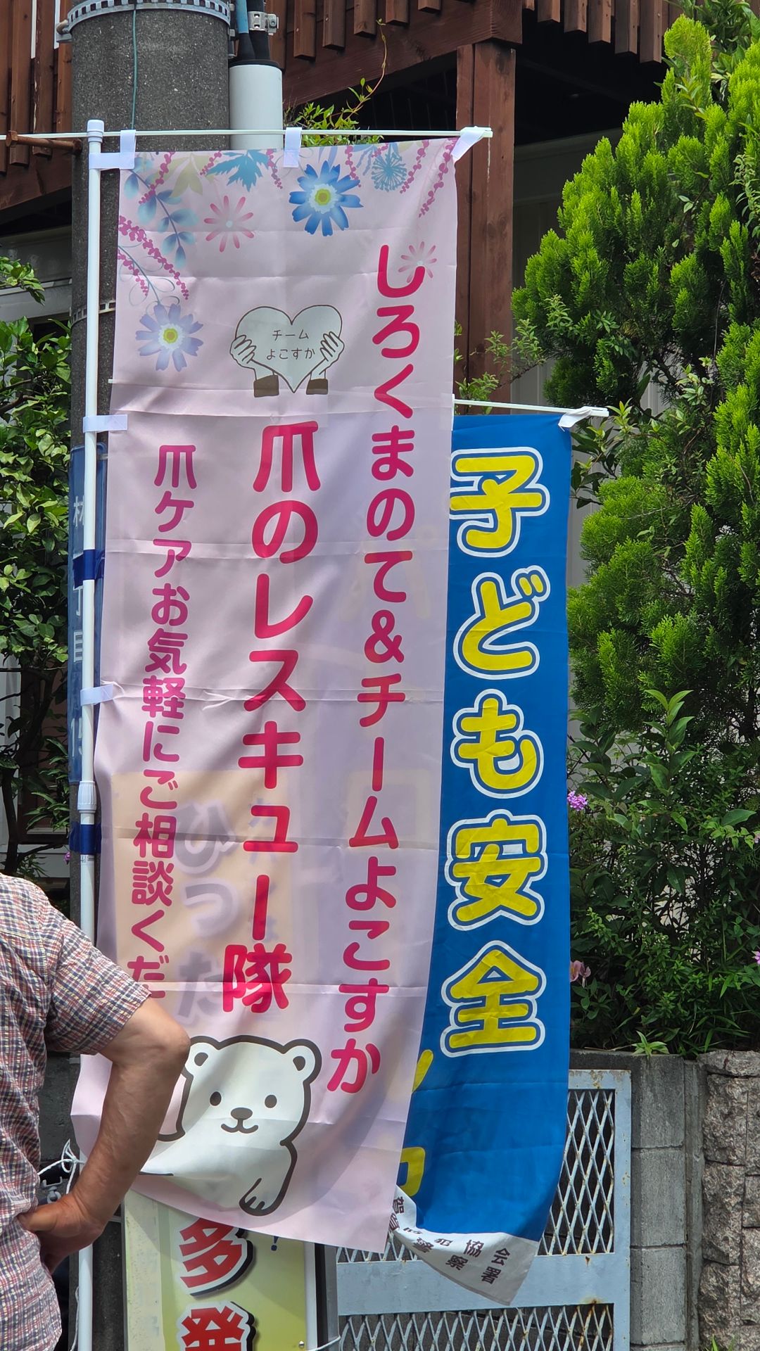 アップロード画像